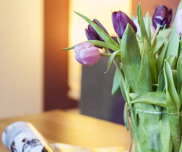 Appartement Lotsenhaus *